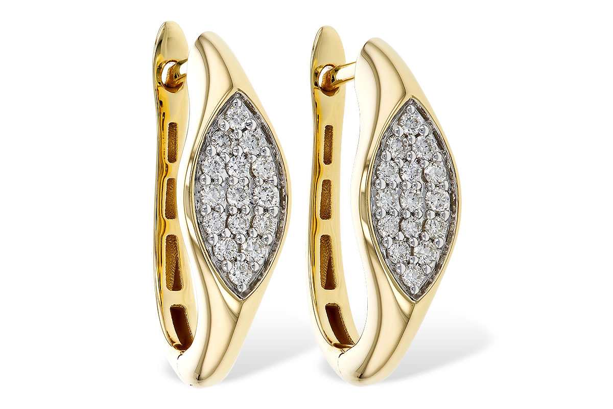 C293-17002: EARRINGS .25 TW