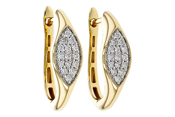 C293-17002: EARRINGS .25 TW