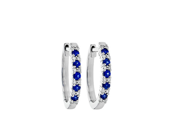 H208-58883: EARR .24 SAPP .30 TGW