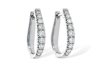K208-57974: EARR .50 TW
