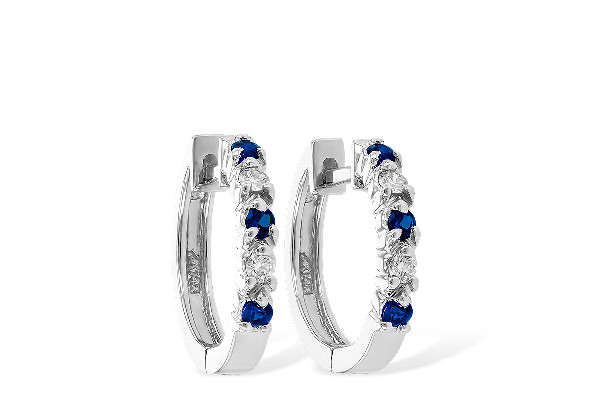 L019-48838: EARRINGS .17 SAPP .26 TGW