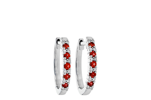 L208-58892: EARR .24 RUBY .30 TGW